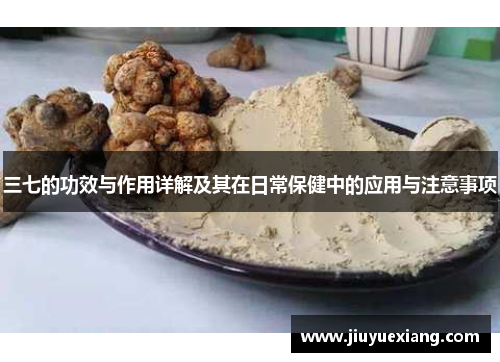 三七的功效与作用详解及其在日常保健中的应用与注意事项