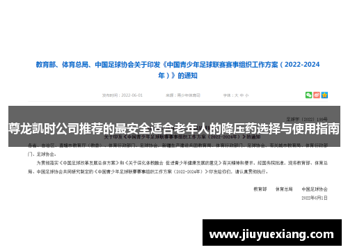 尊龙凯时公司推荐的最安全适合老年人的降压药选择与使用指南