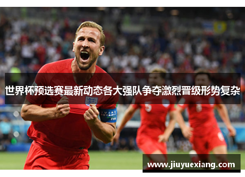 世界杯预选赛最新动态各大强队争夺激烈晋级形势复杂